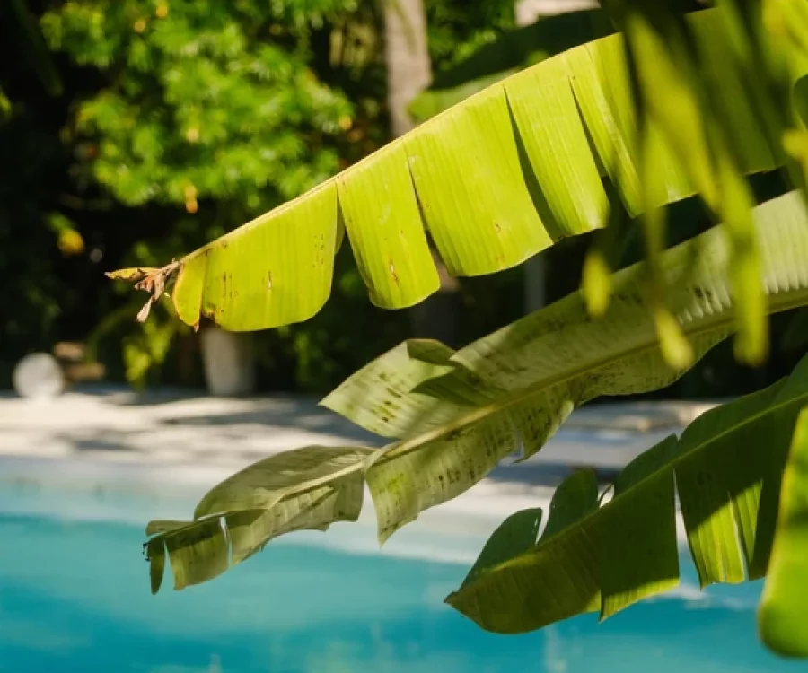 a-melhor-pousada-em-icaraizinho-de-amontada